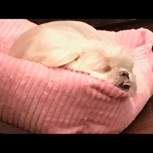 Meet your Posher, Tammy